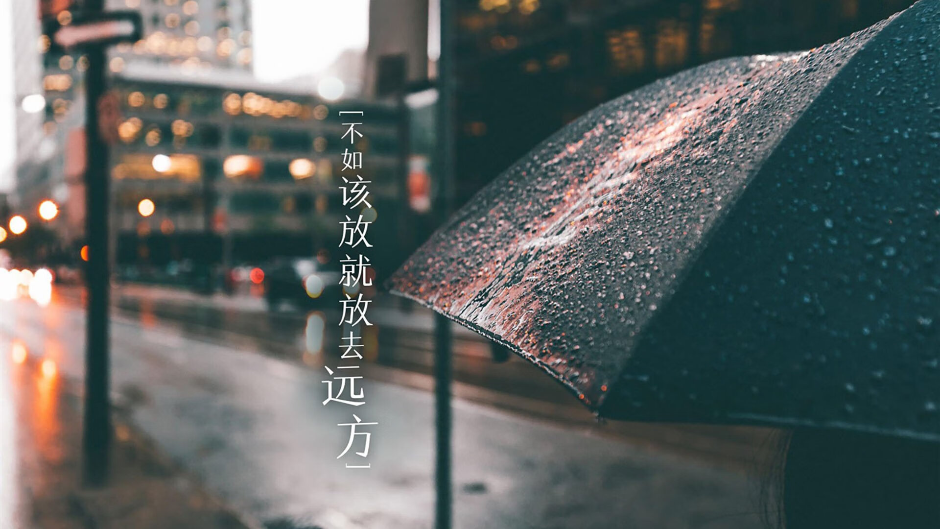 kaiyun网站-传奇教练的心路历程：他们如何影响联盟发展？，联盟传奇教练 小说