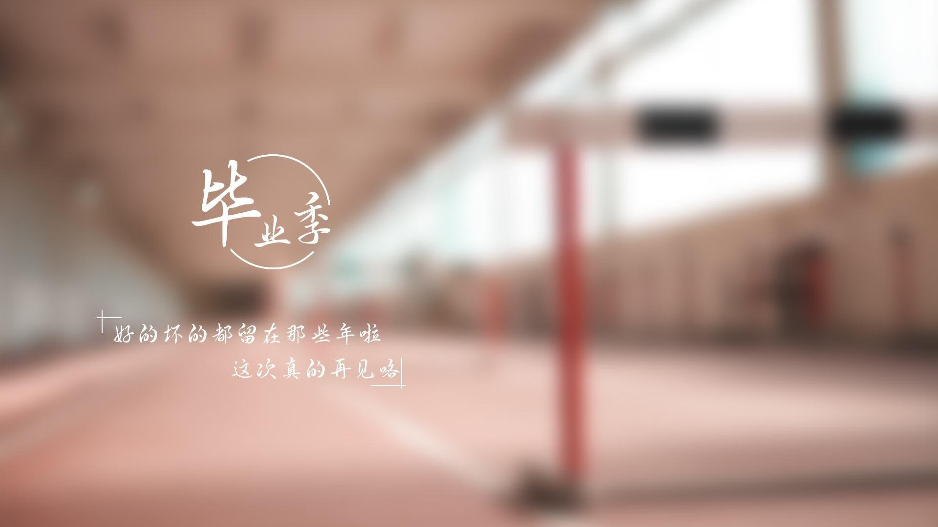 体育教学中个性化评价体系设计与应用，体育学科的个性化教育