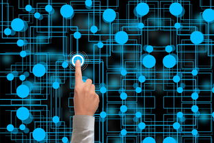 开云官方网页登录-冬奥会遗产利用与社会价值实现研究，冬奥会遗产战略计划