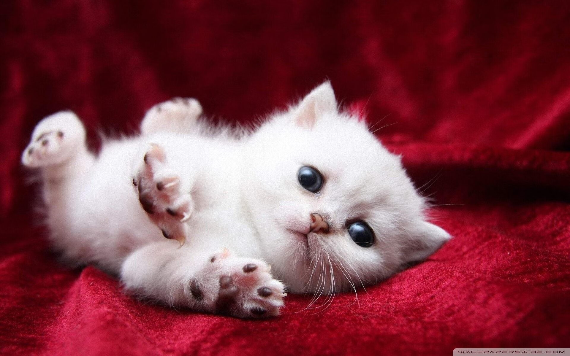 冬奥会遗产利用与社会价值实现研究，冬奥会遗产战略计划