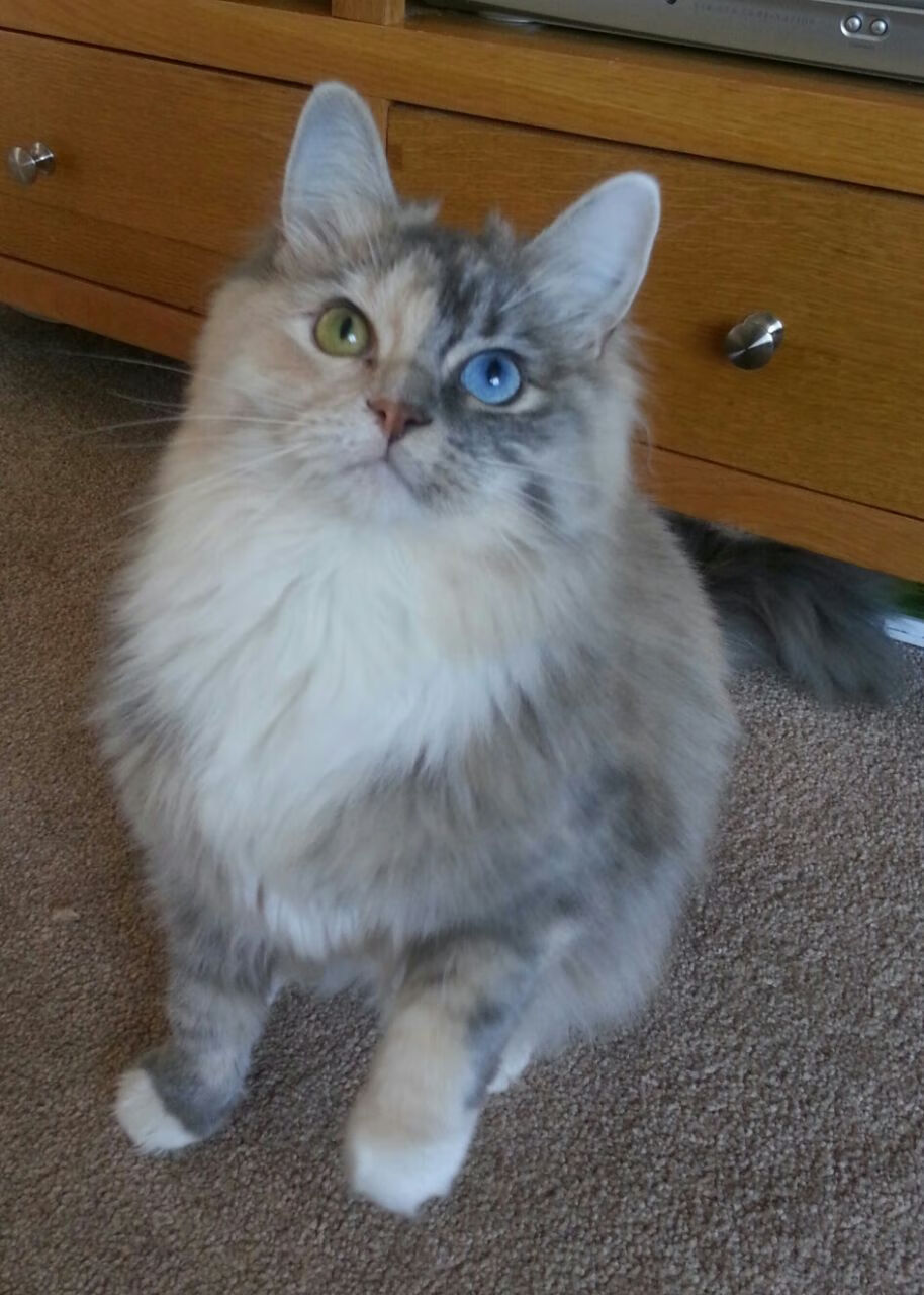 法甲球员进攻效率与防守压力关系的动态分析，法甲联赛进球系数