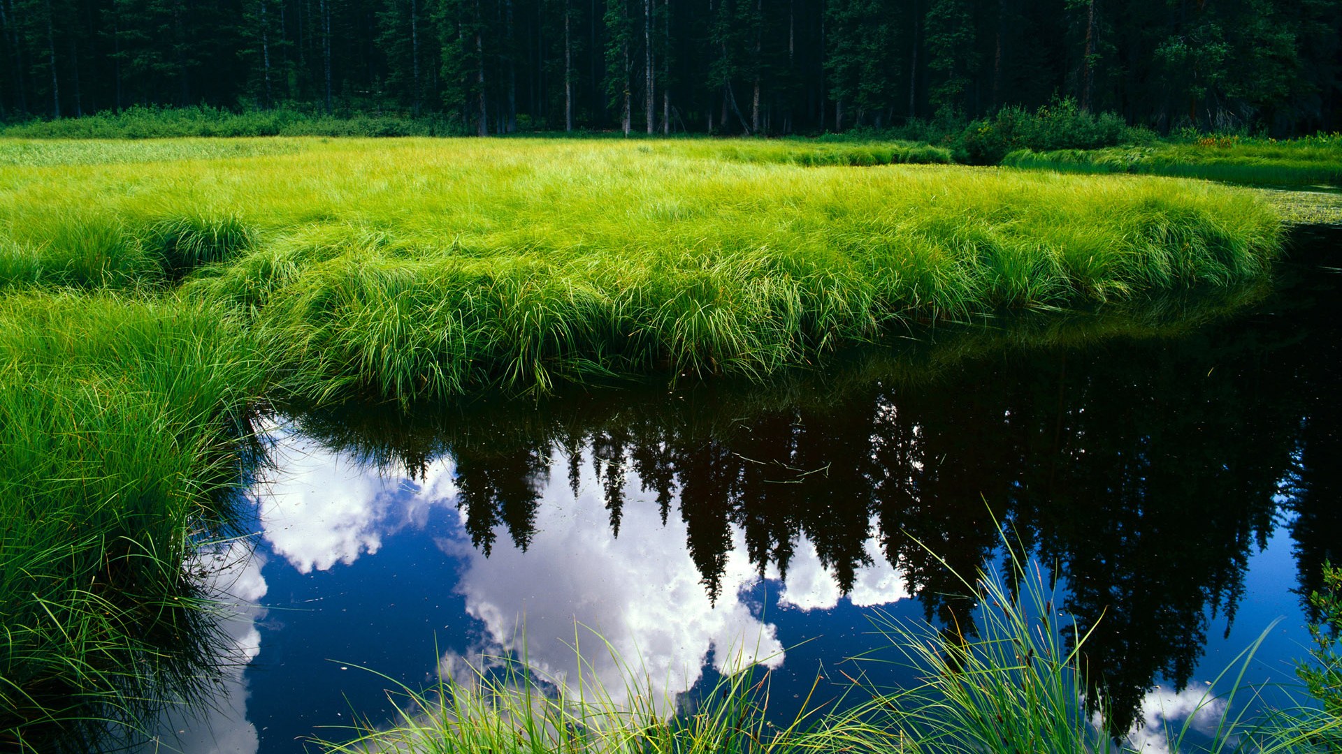 球队振兴计划:中小俱乐部的成功之路,球队俱乐部名称