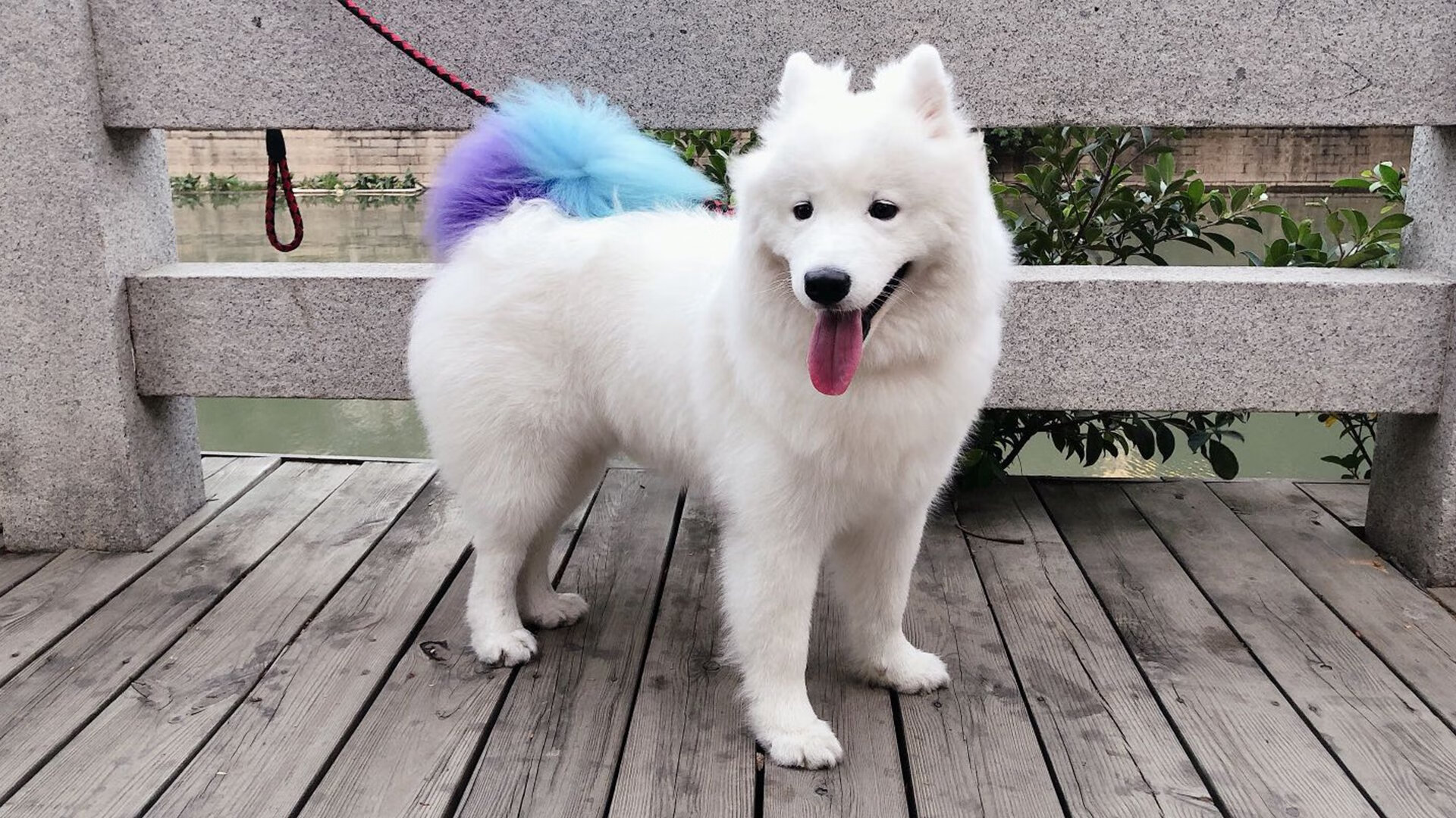 篮球专项训练中的体能负荷监控技术，篮球训练负荷特征有哪些