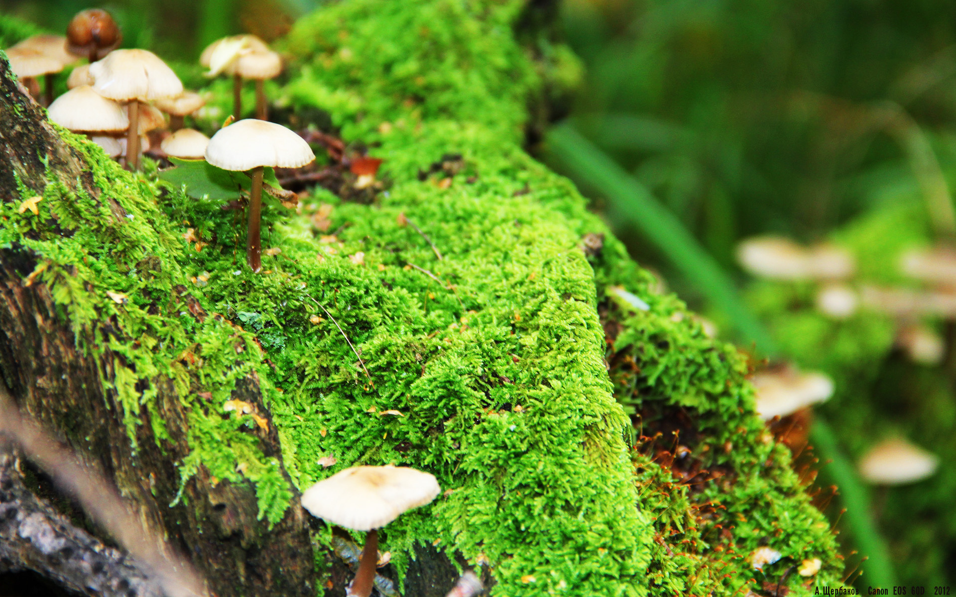 “高新体育中心：篮球选手拼尽全力，赛场高潮迭起”