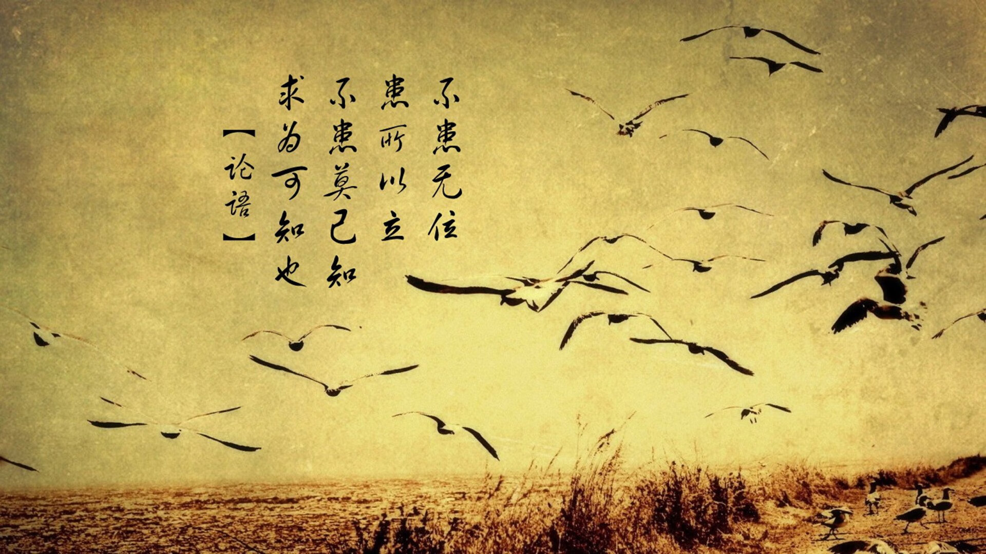 体育新闻中心发布运动健康科普内容制作指南,运动科普室