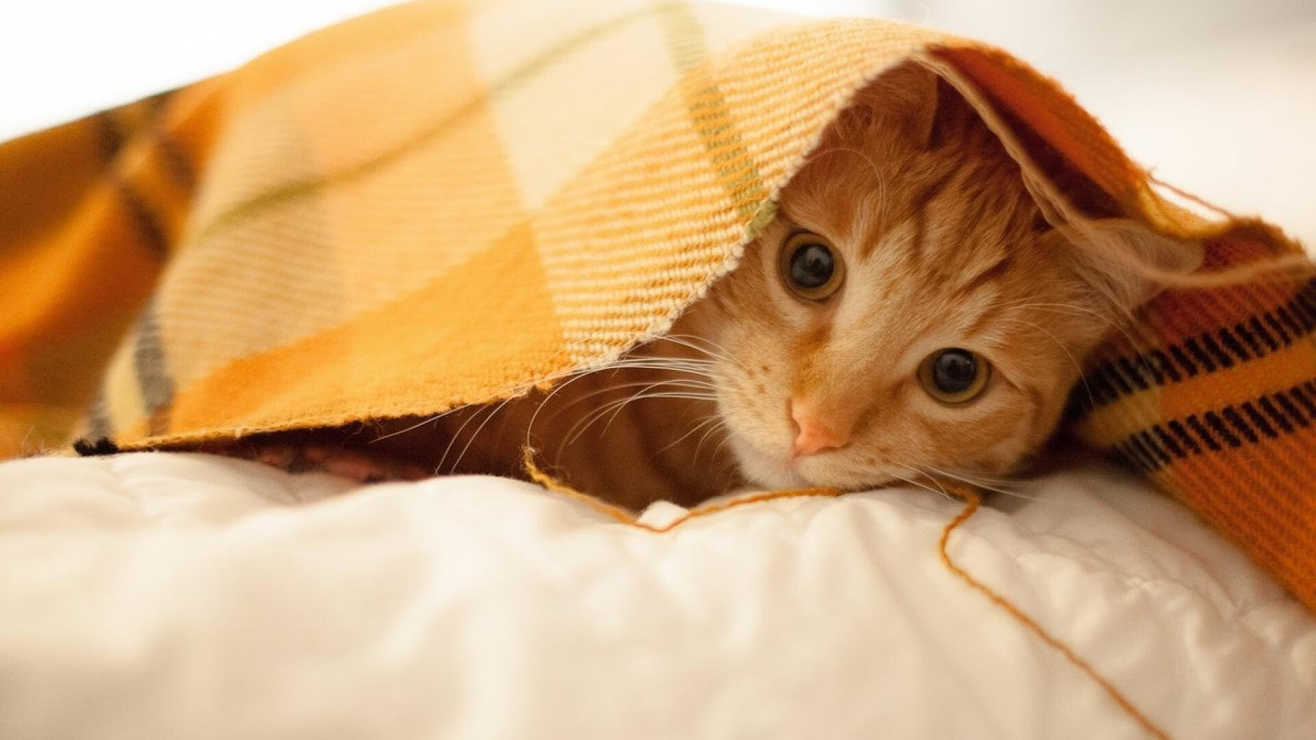 体育教师走入校园普及专业训练知识提升学生运动素养与兴趣，体育教师如何