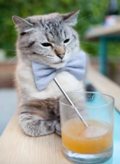 开云官方-卡特：为全黑队创造辉煌历史的幕后英雄，卡特黑化的原因