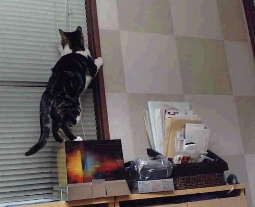 开云·体育官网APP下载-国际足球联合会推动裁判数字化管理，提升裁判质量，国际足球裁判排名