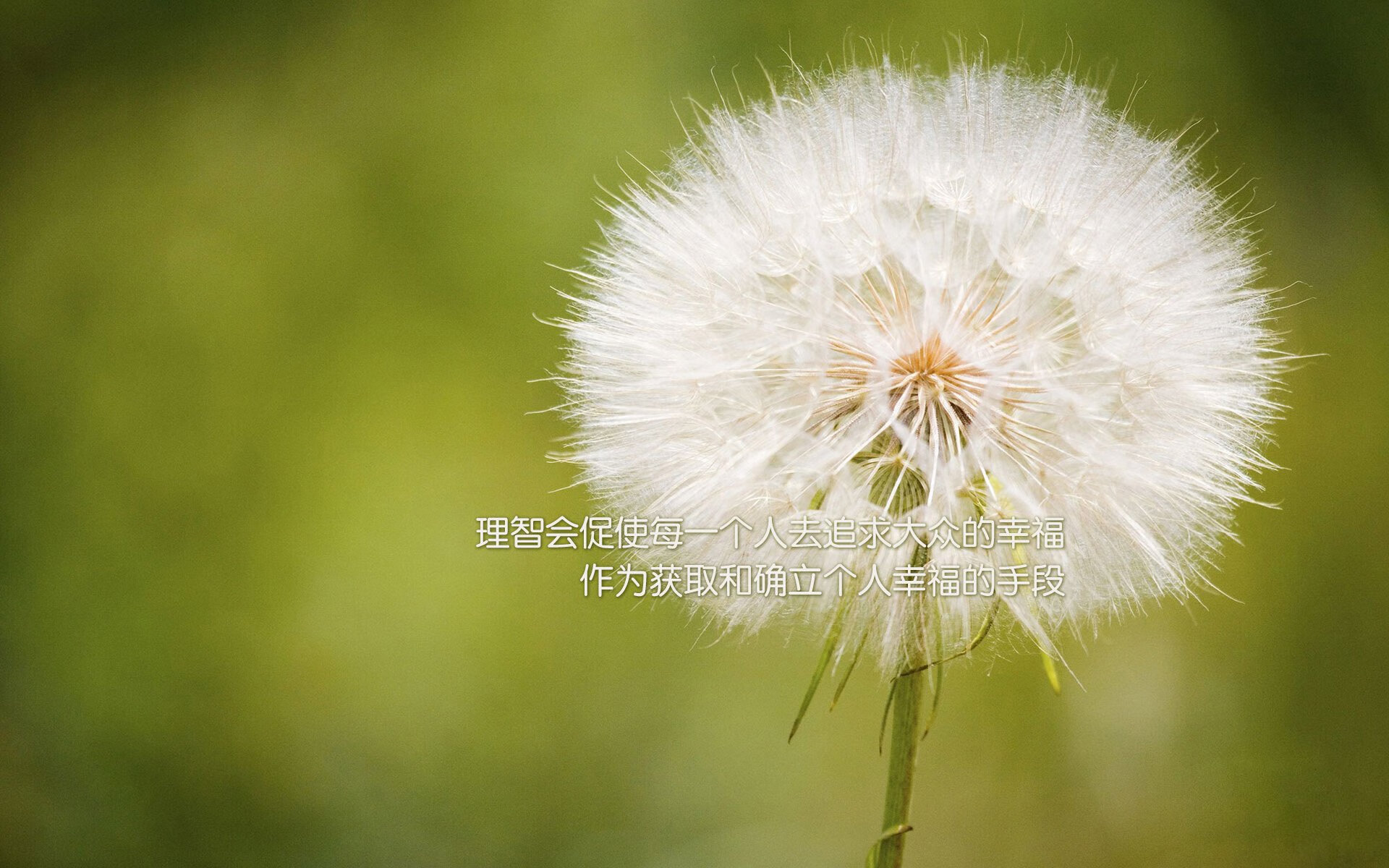 国际青少年足球交流合作不断深化，培养未来国际足球明星，国际青少年足球俱乐部