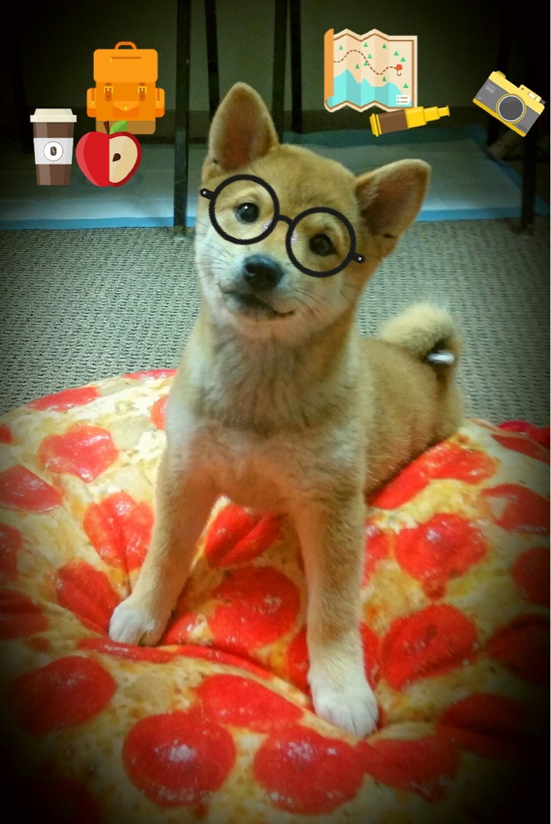 kaiyun.com-蛙泳选手状态回暖吉尔吉斯斯坦表现突出，吉尔吉斯坦摔跤手