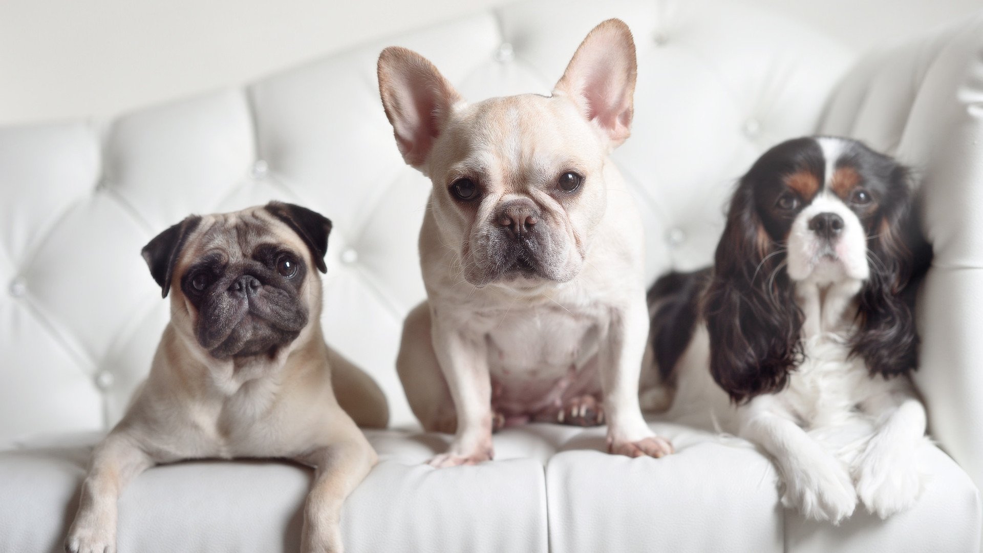 开云kaiyun-谷爱凌训练中展现高难动作，谷爱凌夺得佳绩