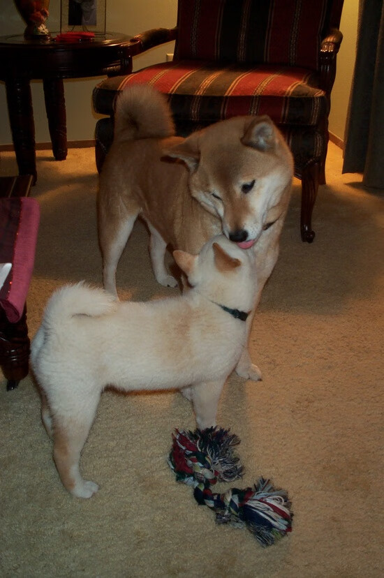 Kaiyun官方登录入口-赛场纪律管理趋于规范，赛场纪律管理趋于规范的问题